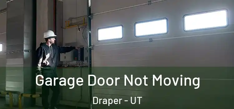  Garage Door Not Moving Draper - UT
